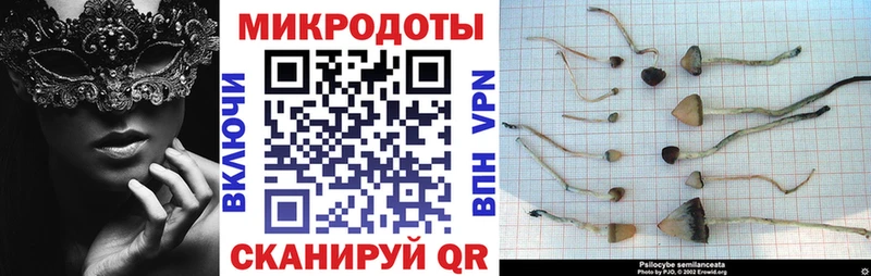 Купить  Северск  Псилоцибиновые грибы GOLDEN TEACHER